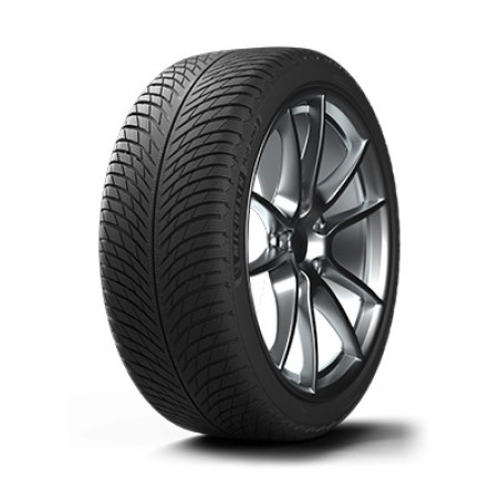 305/30 R21 104 W Michelin  Pilot Alpin 5