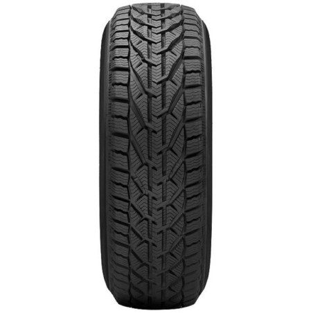 225/50 R17 98 V Strial Winter
