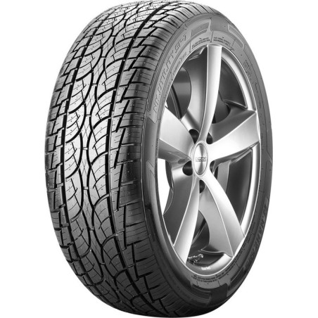 285/40 R22 110 V Nankang 