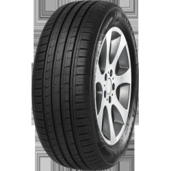 195/55 R15 85 V Minerva F209