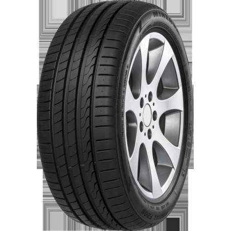 255/40 R17 94 W Minerva F205