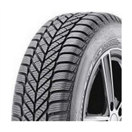 165/65 R14 79 T Diplomat Diplomat Winter St