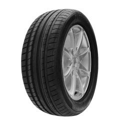 225/45 R17 91 W Infinity Ecomax Rft
