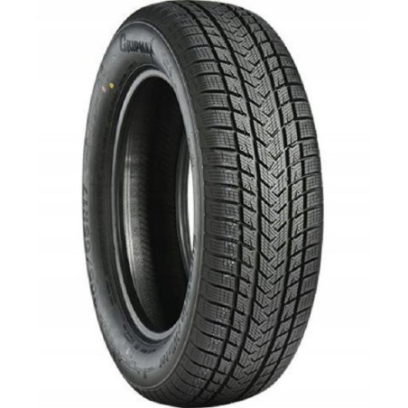 205/45 R17 88 V Gripmax Suregrip Ewinter Xl