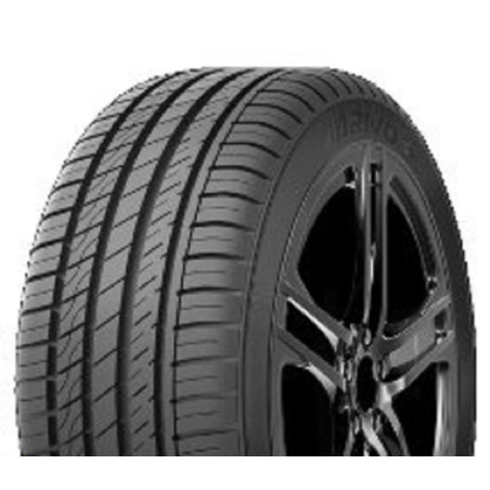255/30 R21 93 W Arivo 