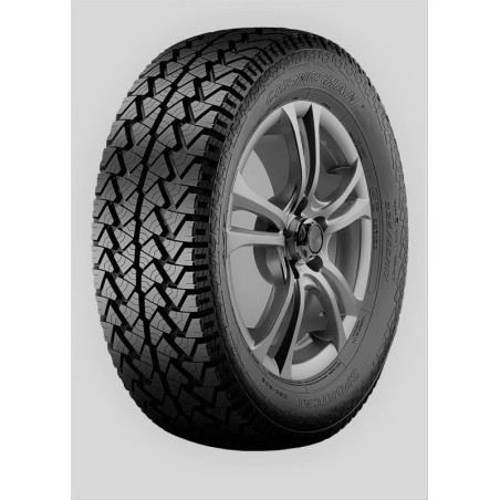 31 R15 109 S Chengshan Csc-302
