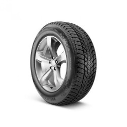245/45 R19 102 T Nexen Winguard Ice Plus