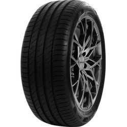 245/50 R18 100 W Delinte Ds2