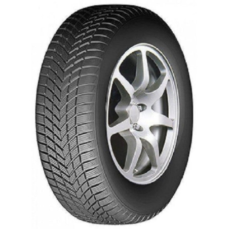 205/60 R16 96 H Infinity Ecozen