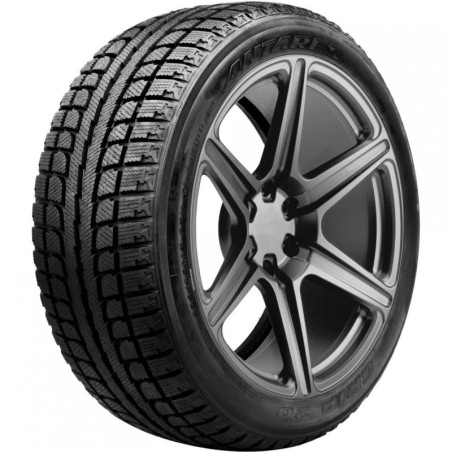 215/55 R17 98 H Antares 
