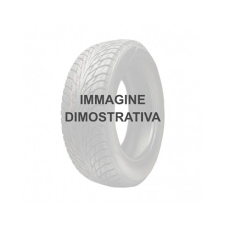 215/65 R16 98 H Roadstone Eurovis Alpine 2