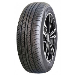 245/65 R17 107 S Double Star Dw02